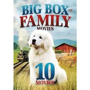 USED-Big Box of Family Movies Volume 2 (DVD)