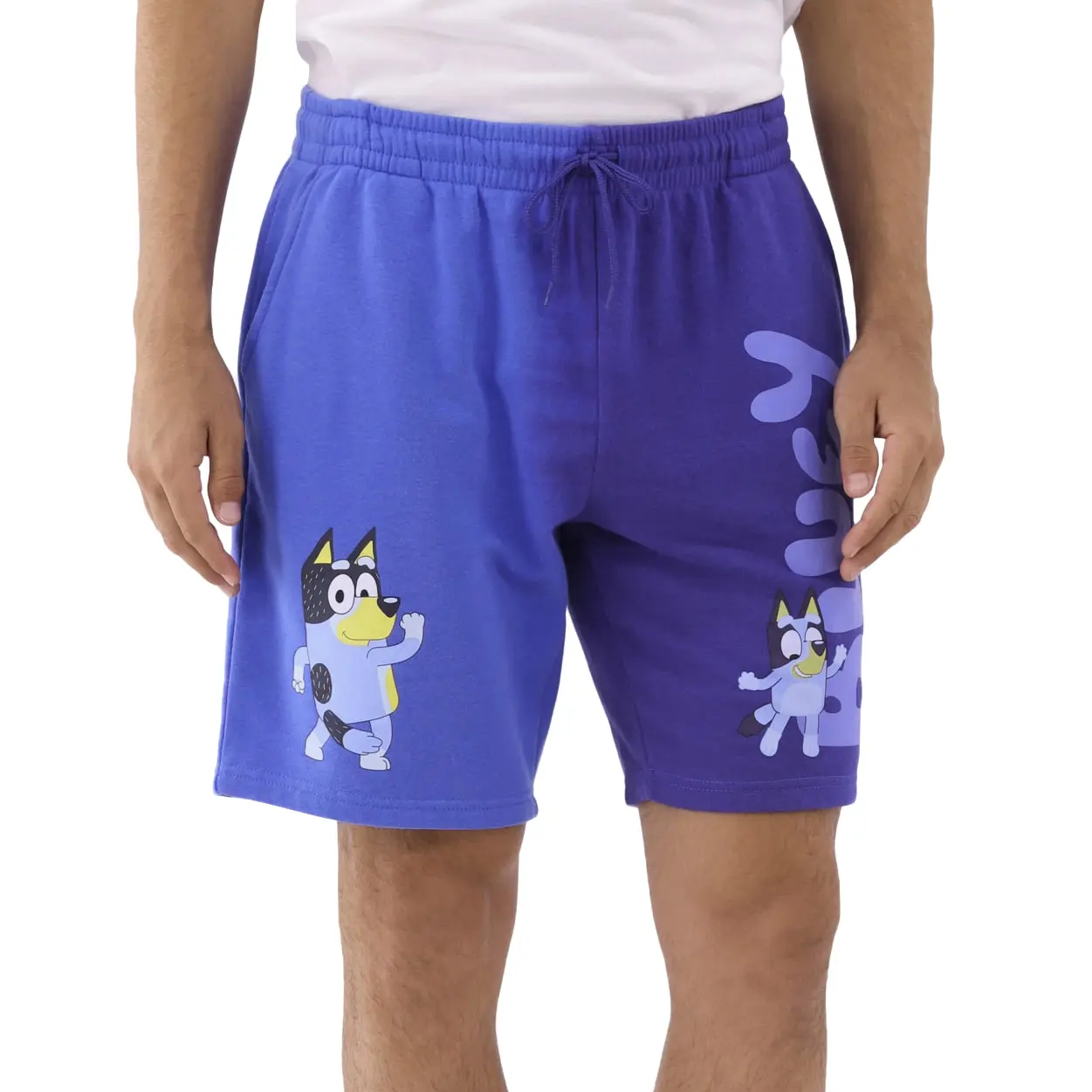 Men's Graphic Print Sweatshorts, Soft Fleece Bluey Ombre Lounge Shorts with Pockets and Drawstring, Prints, Loungewear