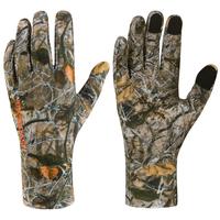 Autumn Forest - Small