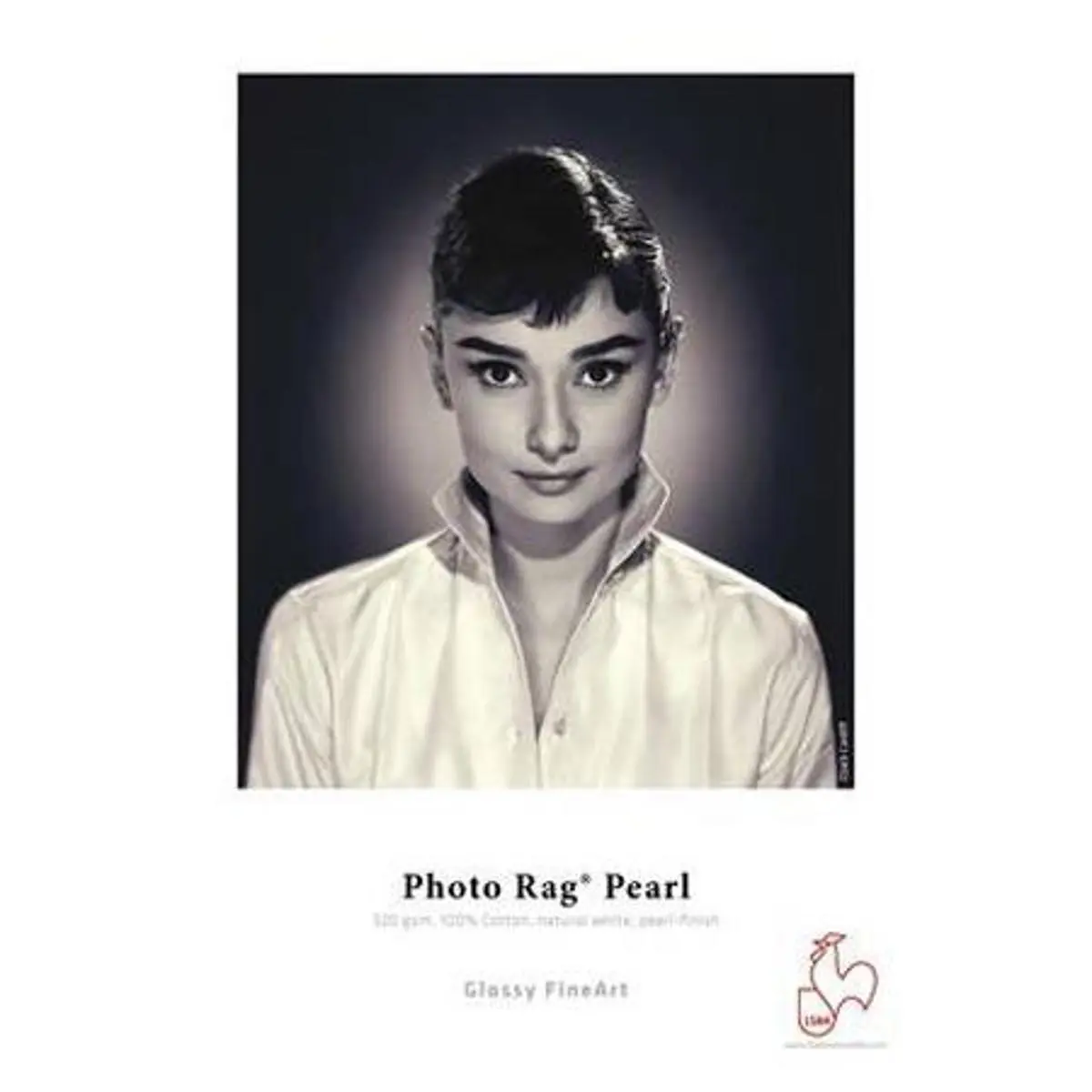 Hahnemuhle Pearl Photo Rag, 100 % Cotton Rag, Natural White Inkjet Paper, 320 g/mA, 17x22", 25 Sheets