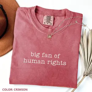 Comfort Colors Big Fan Of Human Rights T-Shirt, Equality, Social Justice, Political Protest Shirt, Womenswear, Everyday Style
