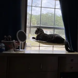 Cat Window Perch & Hammock Bed with Strong Suction Cups, Comfortable Sunbathing & Lounger for Indoor Cats, Reinforced & Fall-Proof Detachable Pet Sleeper & Khaki