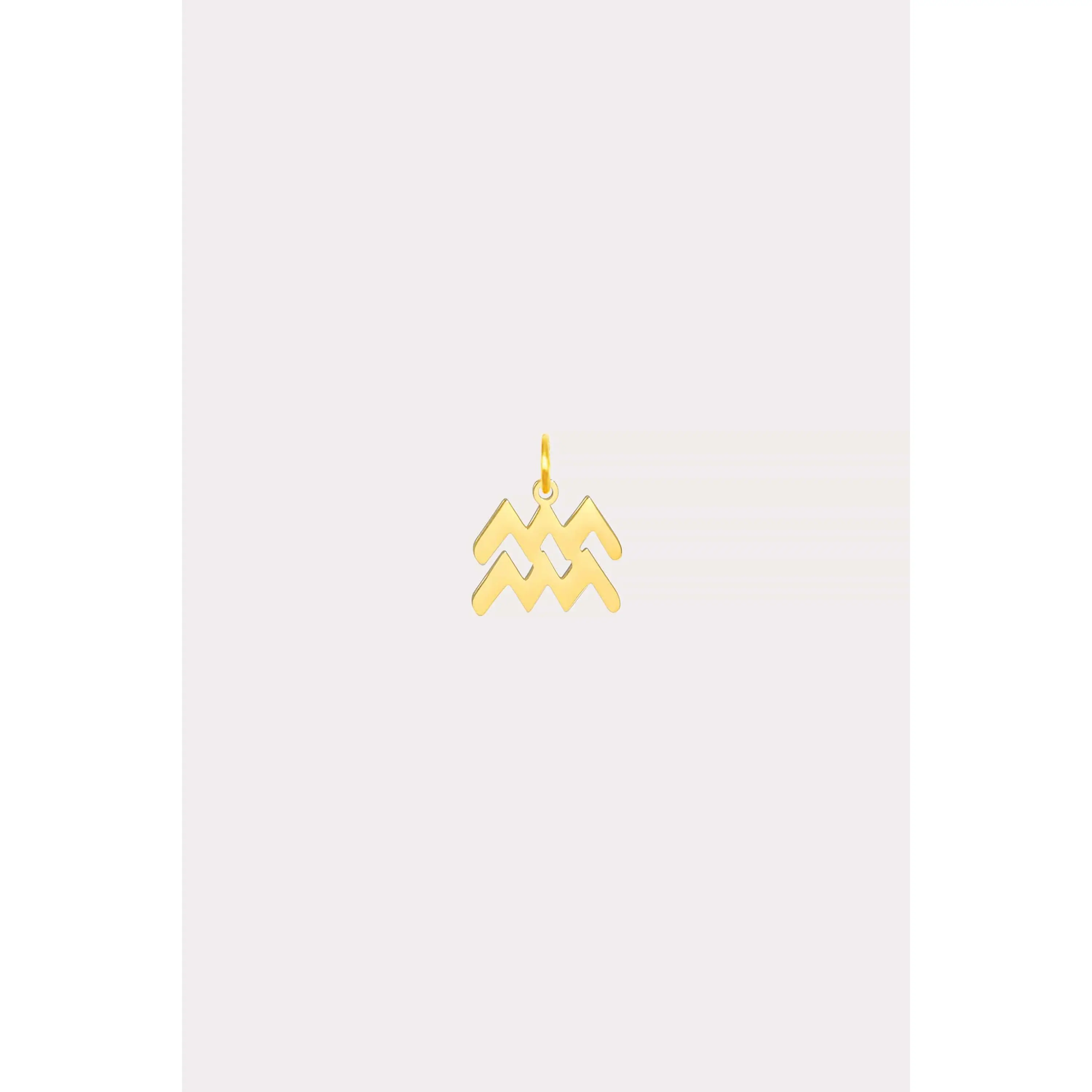 Zodiac Charm