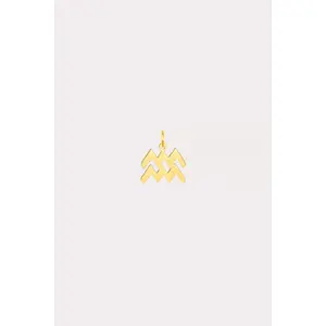 Zodiac Charm