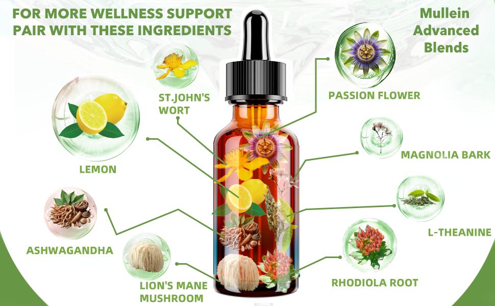 Vita PLynxera Cortisol Supplement Liquid Drops,17-in-1 Cortisol Detox,cortisol support,Hormone Balanced for Women,Sleep Support,Mood Focus,2 FL/Oz Vita PLynxera Cortisol Supplement Liquid Drops,17-in-1 Cortisol Detox,cortisol support,Hormone Balanced for Women,Sleep Support,Mood Focus,2 FL/Oz