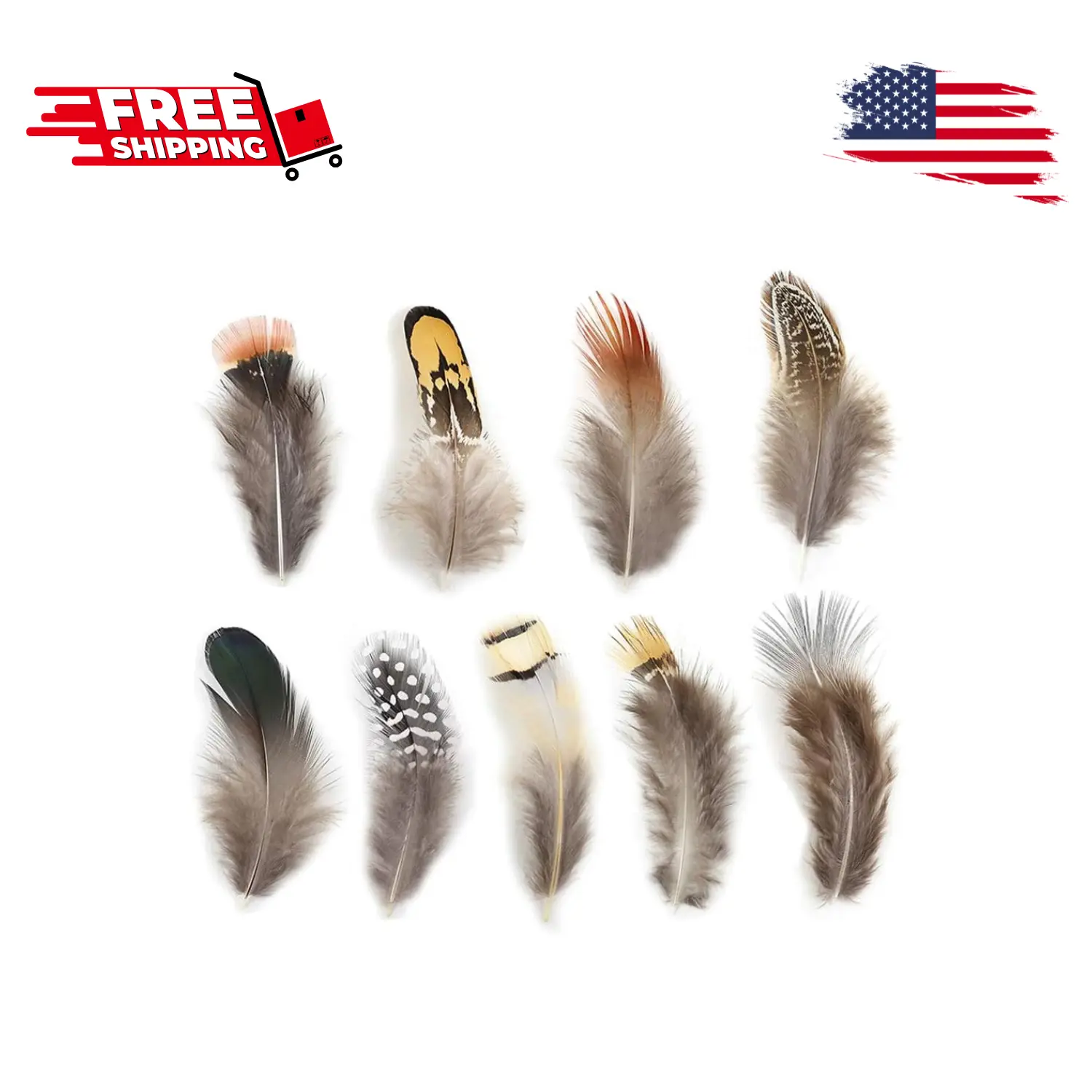 180pcs 9 Styled Natural Feathers Assorted Mixed