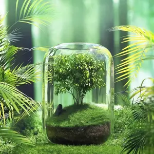 Ecological Bottle Micro Landscape Transparent Glass Vase, Life Tree Aquaponic Fish Tank, Small Desktop Decoration, DIY Creative Gift