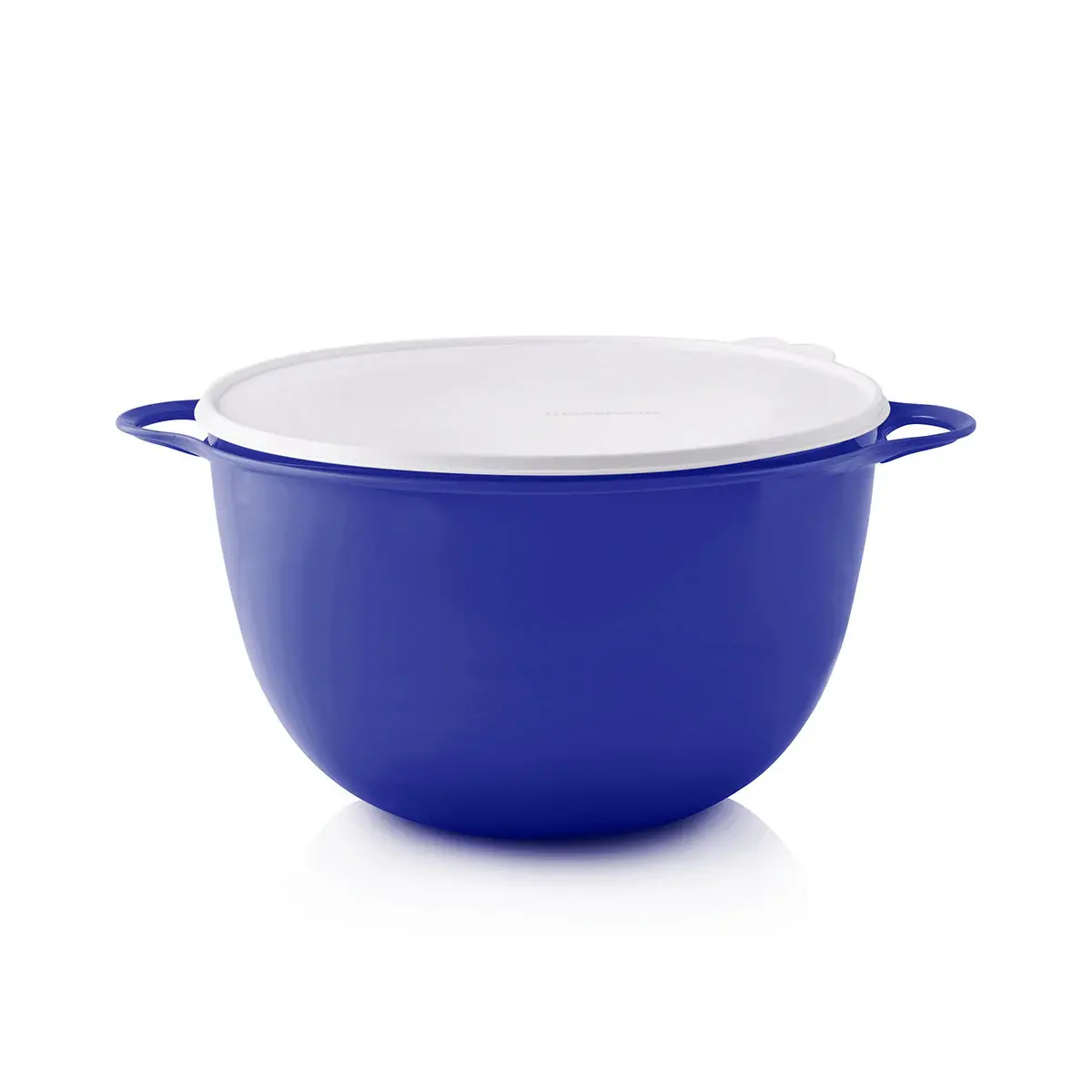 Thatsa Jumbo Bowl - the biggest Tupperware bowl ever made! For all your BIG jobs!