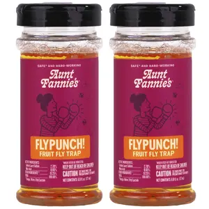 Aunt Fannie's FlyPunch Fruit Fly Trap (2 Pack): for Indoor and Kitchen Use, Made with Plant Based Ingredients, Packaging May Vary