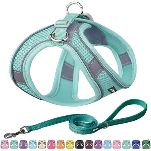 No Pull Dog Harness and Leash Set, Step in Adjustable Dog Harness with Padded Vest for All Weather, Dog Leash with Soft Padded Handle, Easy to Put on Small and Medium Dogs Pure Turquoise S