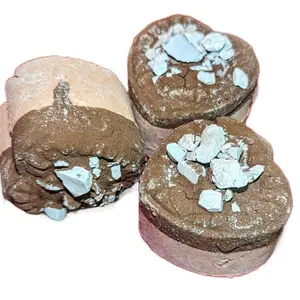 Clay Heard Made in Mexico 1pz Corazon de Barrito Galletita 1pz Echa en Mexico