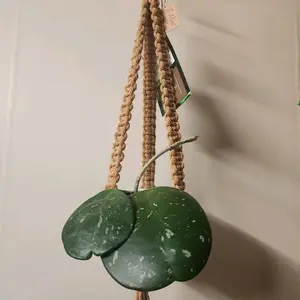 Tan Flat-Style Macrame Plant Hanger with Gold Ring for 2 Inch Pots - Decorative Hanging Planter, Window Hanger