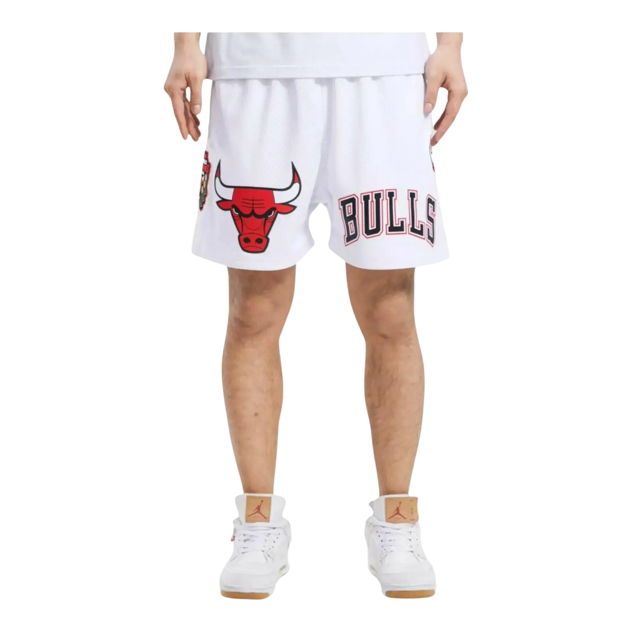 Pro Standard NBA Chicago Bulls Logo Mesh Shorts in White | Men's