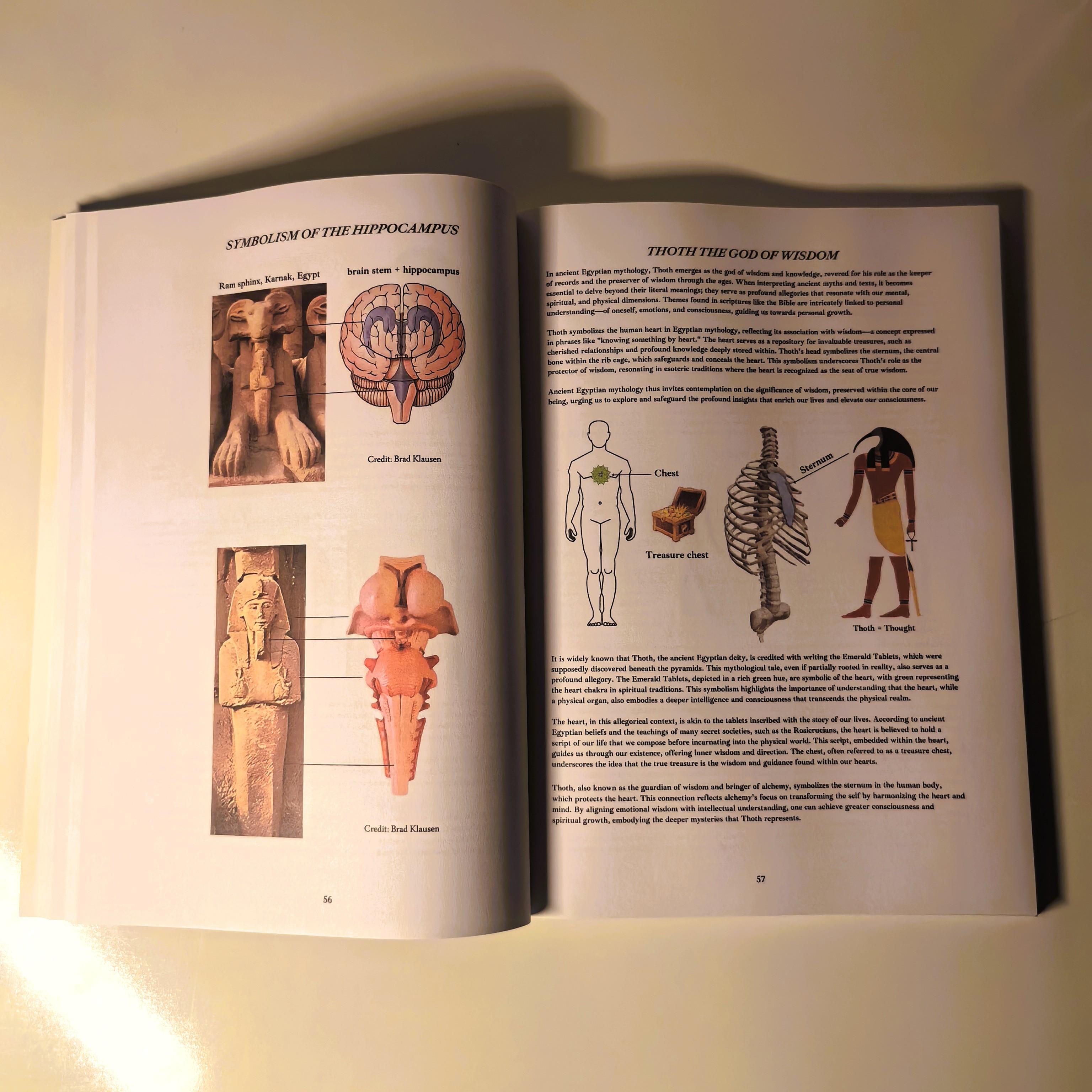 Book of Wisdom Volume II - Revival of Wisdom, Esoteric Knowledge & Spiritual Awakening Guide with Ancient Symbols, Occult Diagrams & Hidden Teachings