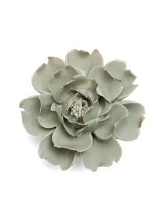 Pistachio Green Rose