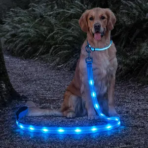 Light Up Dog Leash - 4 Ft Glowing Pet Leash Reachargeable - Nylon LED Dog Leash for Night Walking (Sky Blue) ADJUSTABLE FIT adjustable fit