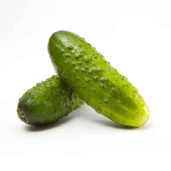 Boston Pickling Cucumber Seeds - Organic Heirloom Non-GMO Annual - Sweet Tender Seedless - 57 Days to Maturity - Cucumis Sativus - Perfect for Pickling by MAI'S FAMILY