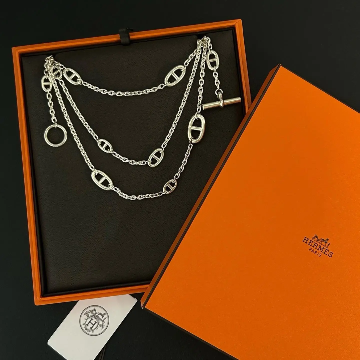 Pre-owned Hermes Farandole long necklace 120 twins LDJ5317