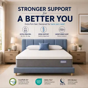 【Extra Firm Choice】FANSACE 10 inch Queen Size Gel Memory Foam Mattress - Premium Memory Foam Filling, High Quality Cooler Mattress, Washable Breathable Pillow Top Cover for Pressure Relief & Back Pain, Night Trial
