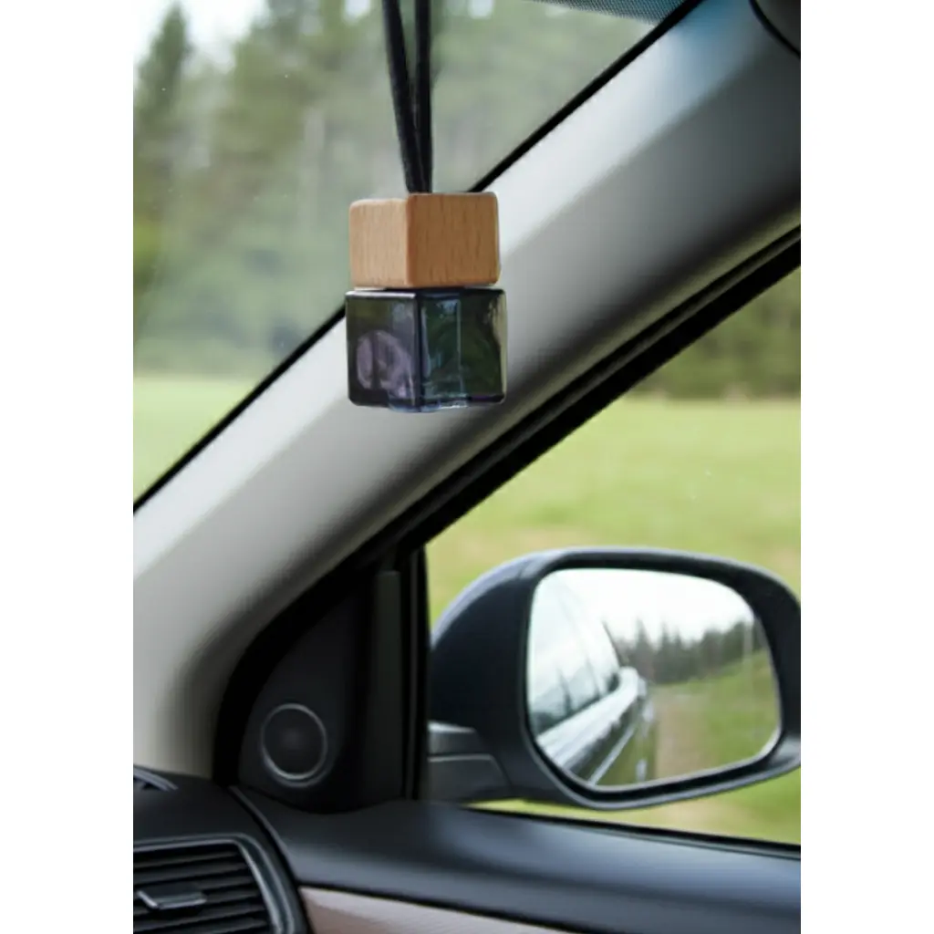 Hanging Car Diffuser