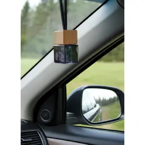 Hanging Car Diffuser