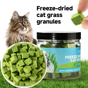 Cat Grass Treats for Cats | Catnip | Hairball control and Training treats | Teeth cleaning snack Reduce plaque (13.4oz, Salmon & Catnip Flavor)