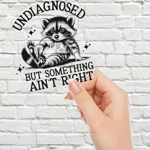 Undiagnosed But Something Aint Right Vinyl Sticker, Funny Raccoon Meme Sticker for Laptops, Water Bottles, Notebooks, Kindles and more, Laptop Water Bottle Decal