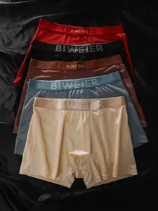 Men's Satin Briefs Set of 5, Stretchy Boxer Briefs, Elastic Waistband, Plain Design, Casual, Soft Comfortable, Suitable for Home and Commuting, All Seasons
