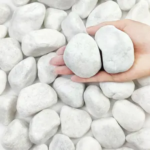 5 lbs White Rocks for , 2-3 Inch Large Pebbles for Indoor , Decorative River Rocks for Succulent, Landscaping, Vases, Aquariums, Crafting and Garden Stones