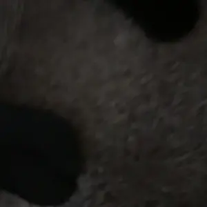 Product Review of Mog Strips, one month supply, for sleep, exercise, mouth tape, nose tape, strips, long lasting adhesive, yoga, gym, comfort Comfort Skincare Comfort Skincare Outdoor Sport from m**o