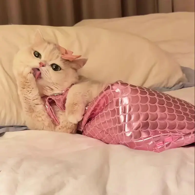 Pet Cat Clothes Dog Clothes Sexy Summer Thin Cute Pet Summer Clothes Cat  Pet Swimsuit - TikTok Shop