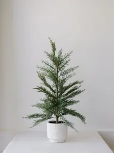Cedar Tree and Cedar Garland