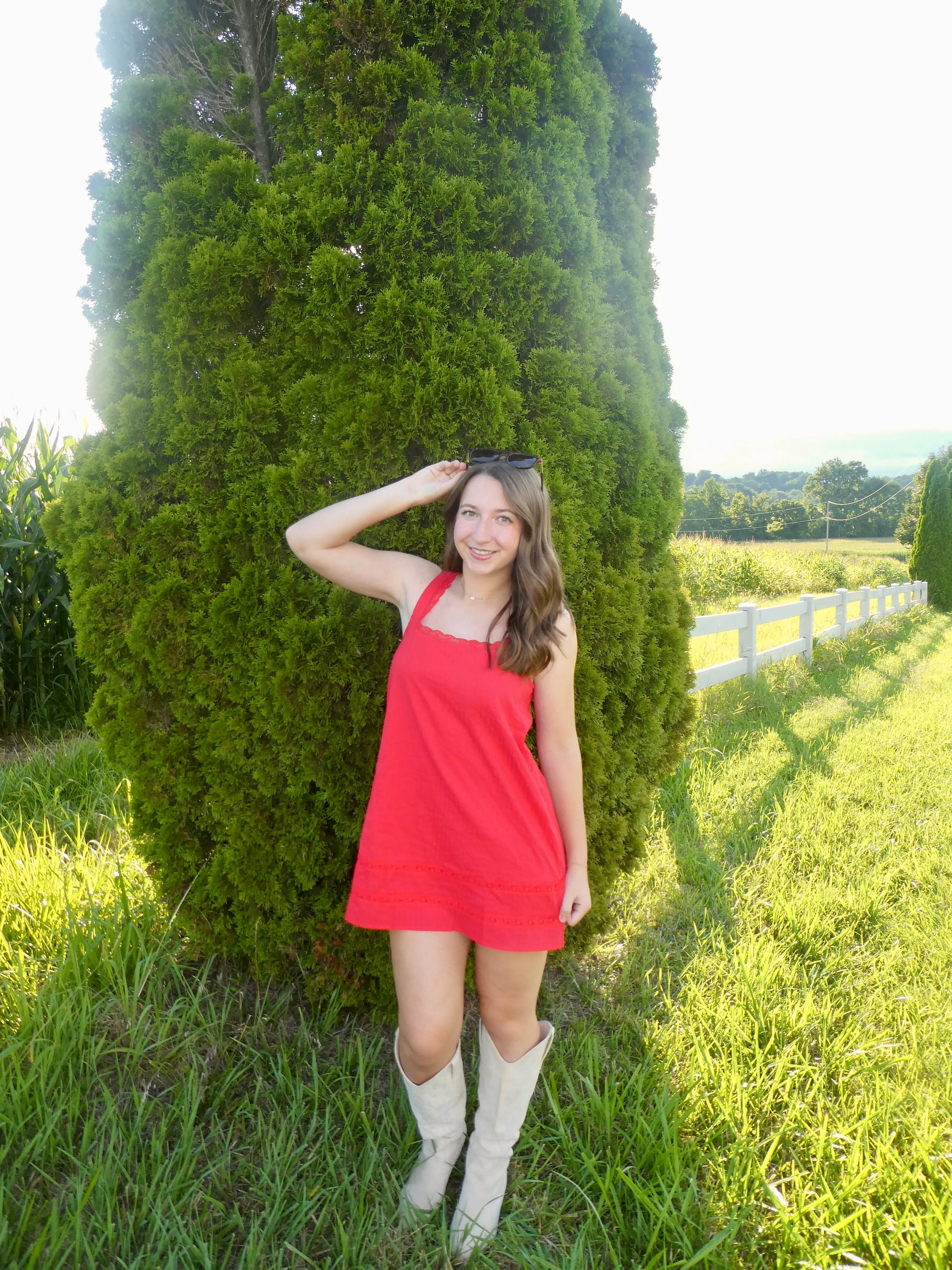 The Scarlet Dress