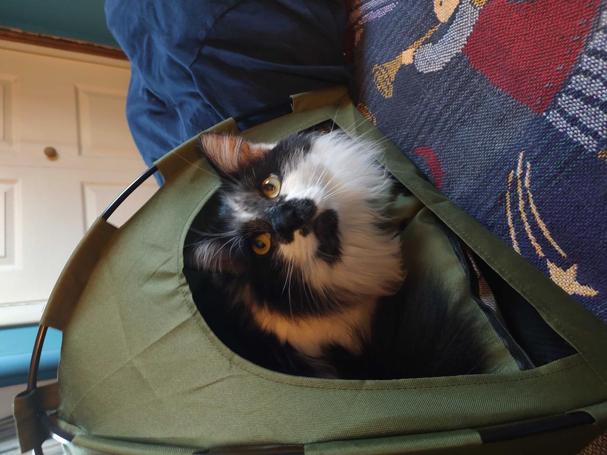 Item: Green, M：15.7*15.7 in (within 11 pounds)