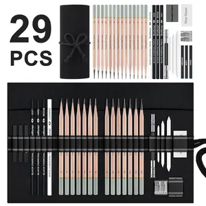 29 Pro Sketching Drawing Pencils Set with Roll-Up Nylon Case – Art Drawing Supplies – 14 Graphite Pencils (14B–5H), Charcoal Pencils, Erasers, Sharpener & Stumps – Complete Art Kit for Artists & Enthusiast