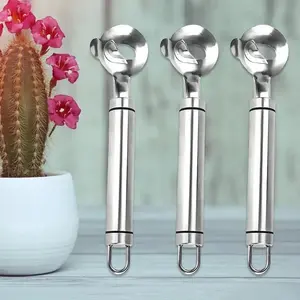 3pcs Home Kitchen Tool Peeler Multifunctional Stainless Steel Nopal Peeler Kitchen Accessories for Sliced Thorn Hole Mexican Cooking