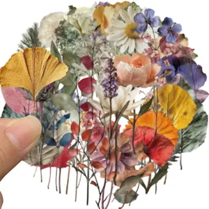 50-Piece Plant Stickers Kit for Scrapbooking, Journaling & Crafting – Realistic Botanical Leaves, Ferns, and Tropical Plants, Self-Adhesive Decorative Stickers, Sticker Sheets