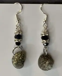 Conch Shells Earrings