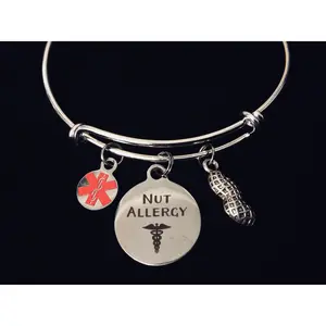 Peanut Medical Alert Jewelry Nut Allergy Expandable Charm Bracelet Bangle Silver Adjustable One Size Fits All Gift