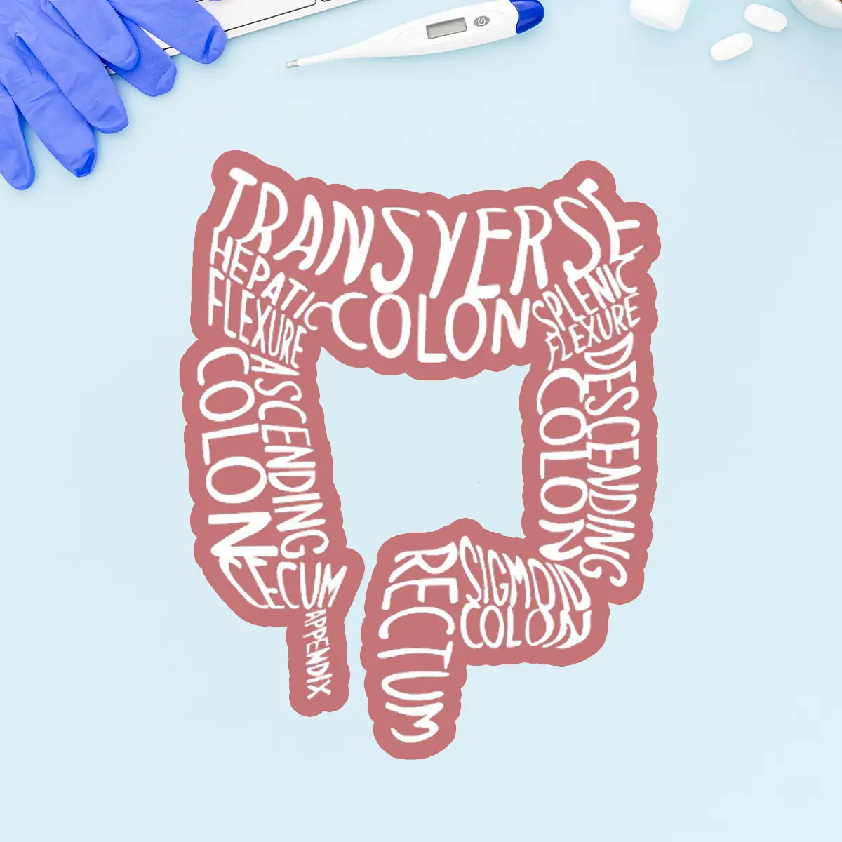 Nurse Endoscopy Colon Anatomy 3 inches Sticker, Waterproof Sticker for Laptop Water Bottle Book
