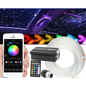 1000PCS Home Car Ceiling Star Light Kit, Fiber Optic Twinkle Headliner Lights, RGBW Starry Roof Lighting for Auto Upgrade, Bedroom, Home Theater and Indoor Decor