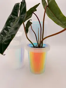 Large Iridescent Holo Cups