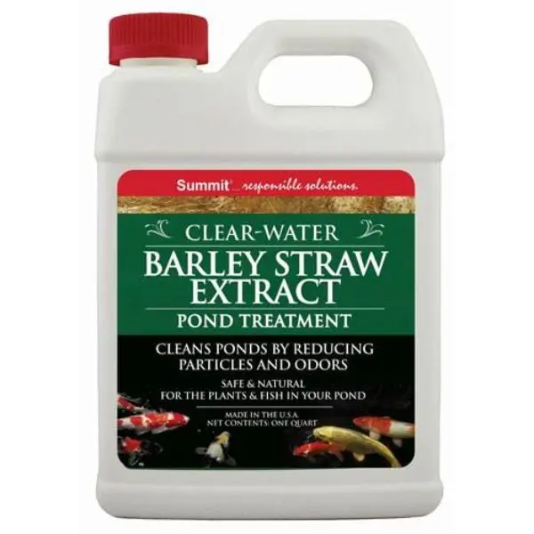212 MAIN 32 oz Barley Straw Extract, Water Treatment for Ponds (Fish & Aquatic Supplies)