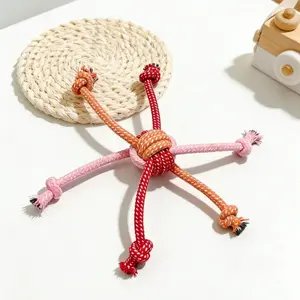 Durable Chew Rope Dog Toy, Colorful Tassel Interactive Play Toy for Outdoor Activity & Teeth Cleaning, Ideal Holiday Gift for Pets
