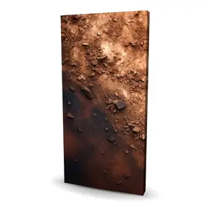 Pictorem C1RC2448EZLRVP 24 x 48 in. The Dark Patch - Black Canvas Wall Art for Elegant Home Decor