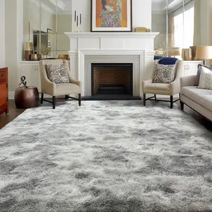 Shag Area Rugs for Bedroom Living Room,Ultra Soft Fluffy Area Rugs for Dorm, Indoor Carpet Nursery Rugs for Kids Room Home Decor, Shaggy Area Rug