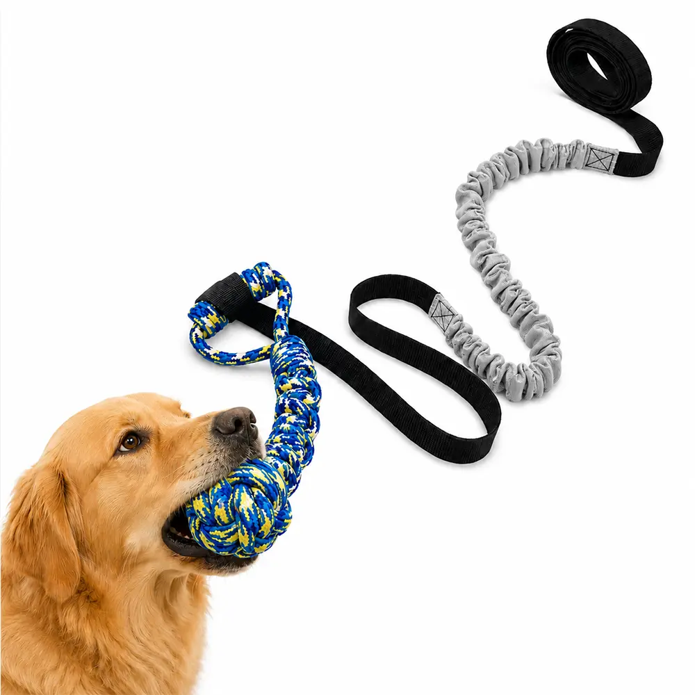 Outdoor Bungee Tug Toy for Dogs, Tree Hanging Interactive Chew Rope with Durable Stretch Cord & Tether, Tug of War Exercise Toy for Bite Training, Solo Play, Small Medium Large Dogs, Black