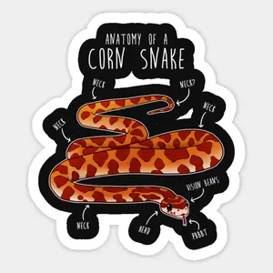 Cornsnake sticker