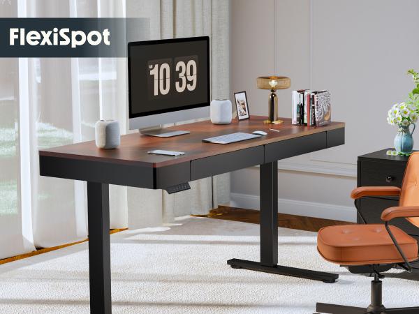 【TikTokShopBlackFriday】FLEXISPOT Standing Desk with Drawer Electric Adjustable Height Stand Up Desk with Storage Organizer, Whole Piece Wooden Desktop for Home, Office