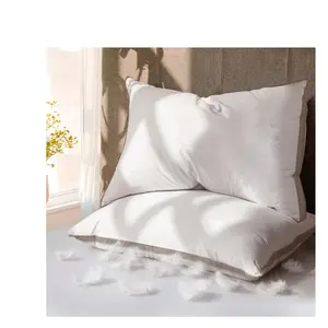 Goose Feather Down Pillows Queen Size Set of 2, 600TC 100% Cotton Cover Hotel Collection Bed Pillows